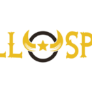 Bullspins
